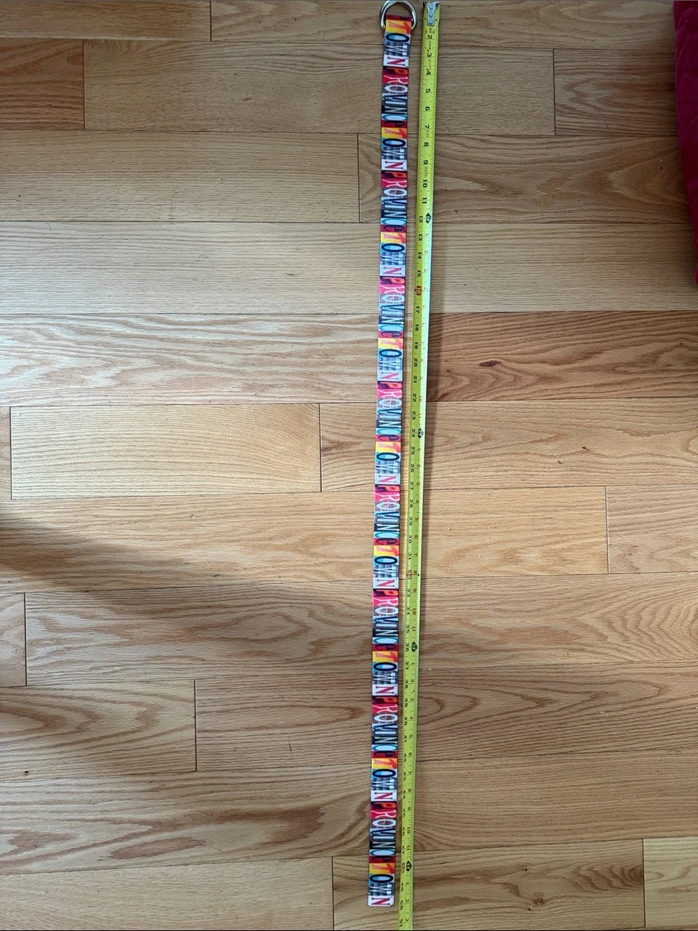 Provincetown Men’s Rainbow Logo D Ring Belt - Multicolor